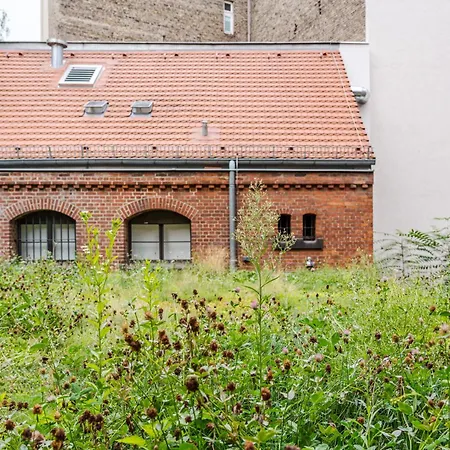 Wilmina ベルリン